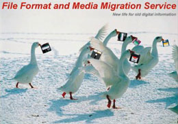 photo of geese carrying floppy disks in their beaks, representing file format and media migration service